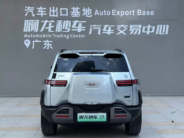 BYD Leopard Titanium 3