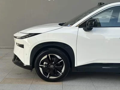Toyota Bozhi 3X