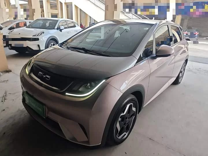 BYD dolphin