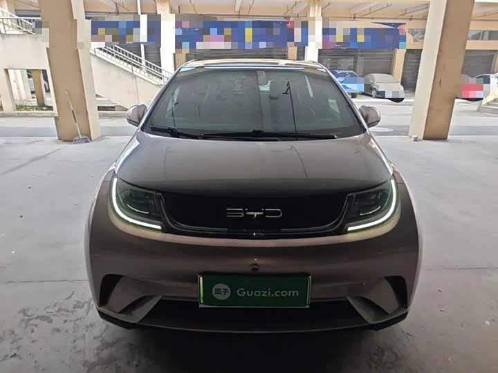 BYD dolphin