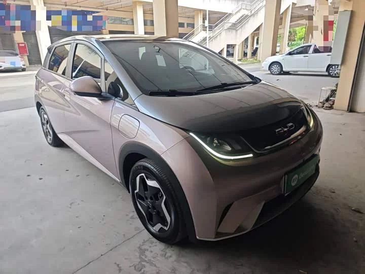 BYD dolphin
