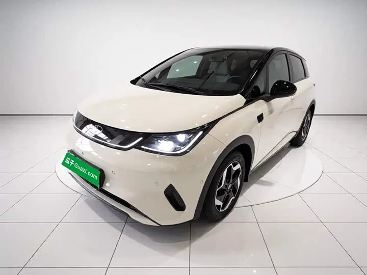 BYD dolphin