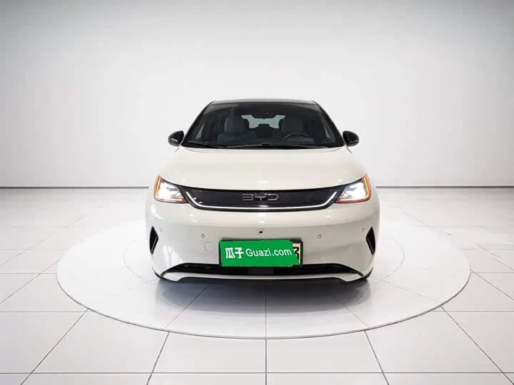 BYD dolphin