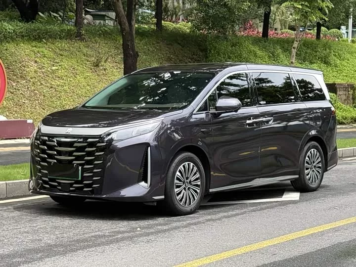 BYD summer