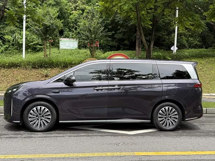 BYD summer