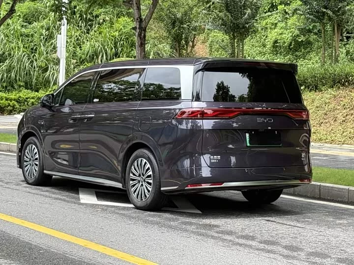 BYD summer
