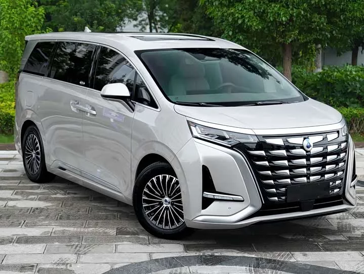 Denza D9