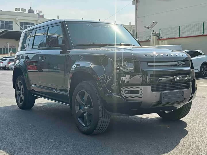 Land Rover guard