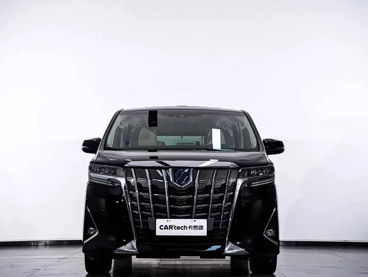 Toyota Elfa