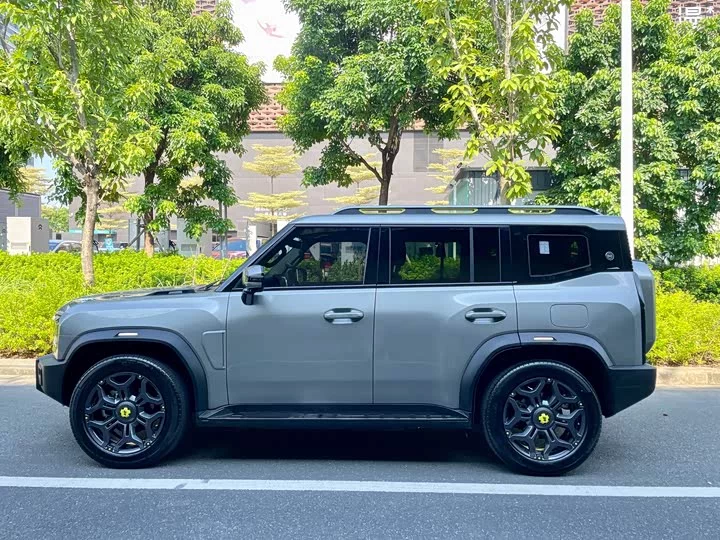 Jietu Shanhai Jetour Traveler C-DM