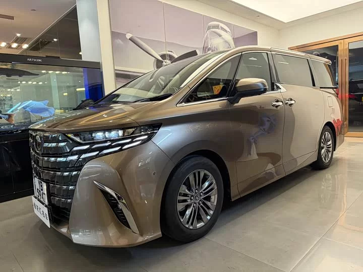 Toyota Elfa
