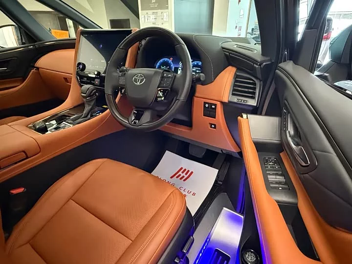 Toyota Elfa
