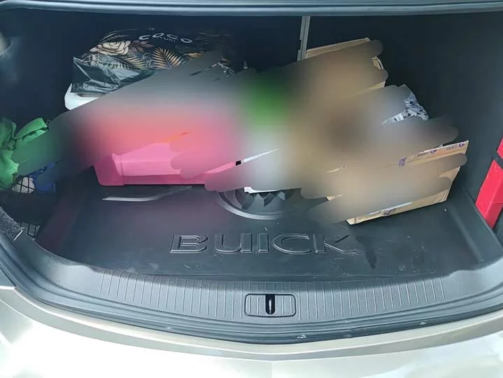 Buick Majesty