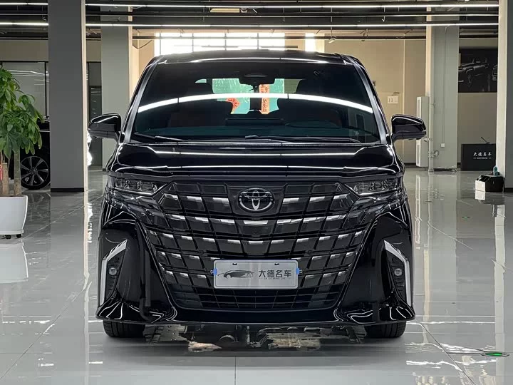Toyota Elfa