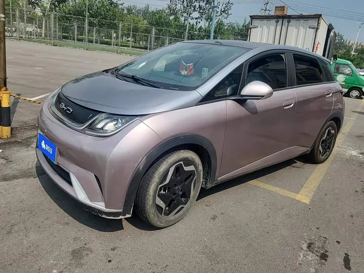 BYD dolphin