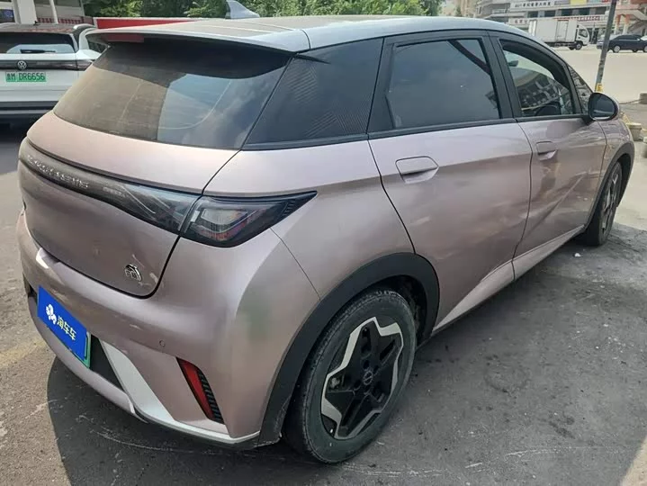 BYD dolphin