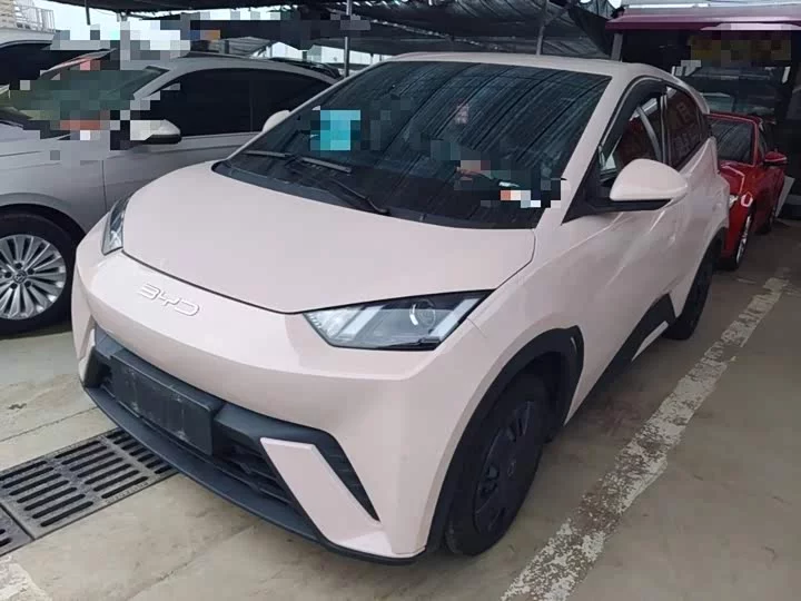 BYD seagull