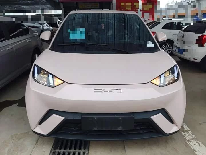 BYD seagull
