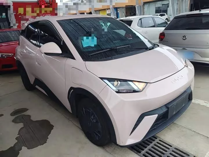 BYD seagull