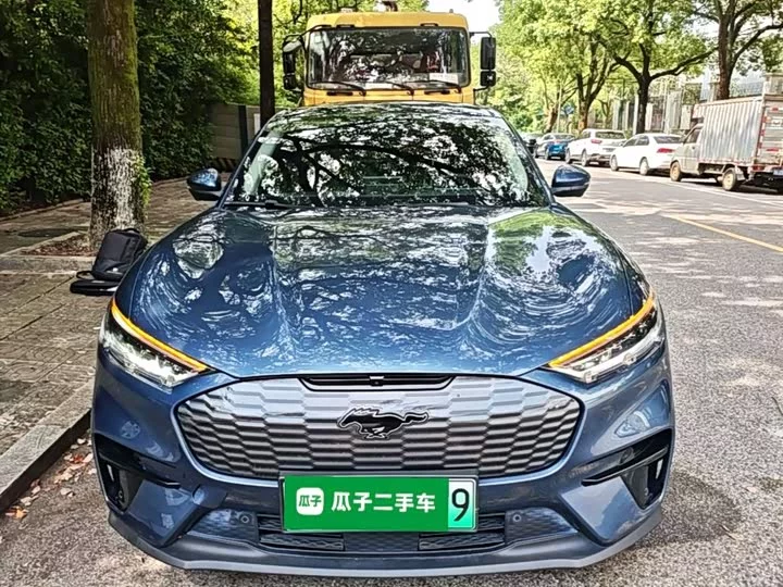 Ford electric horse