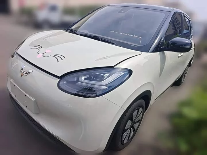 Wuling Bingo