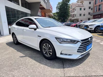 BYD Qin Pro New Energy