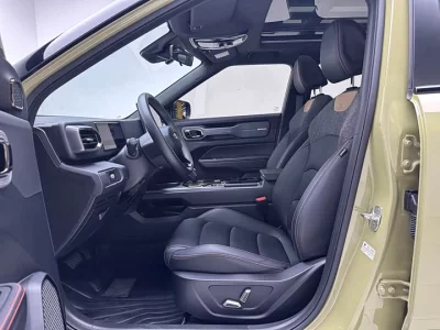 Geely Denim