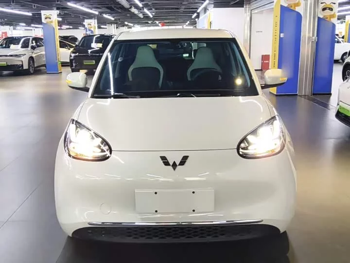 Wuling Bingo