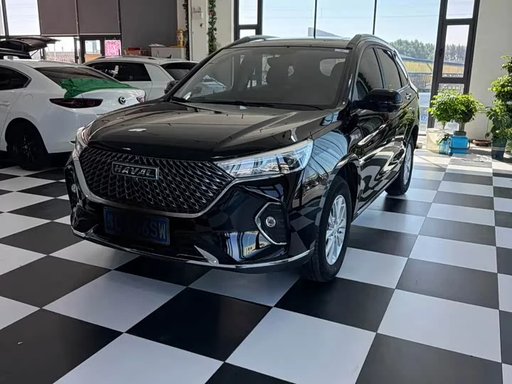 Haval M6