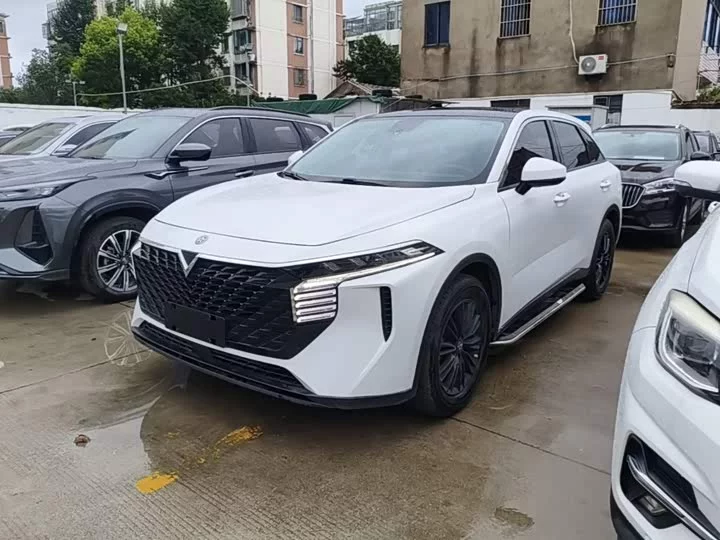 Kai Chen Big V