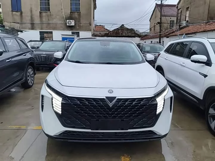 Kai Chen Big V