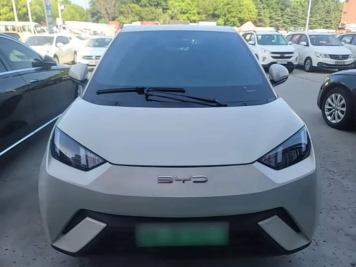 BYD seagull