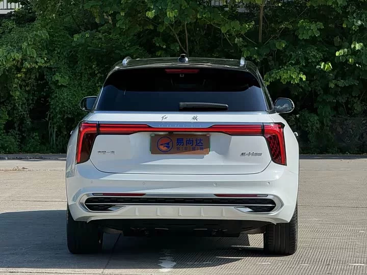 Hongqi E-HS9