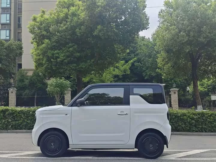 Geely panda