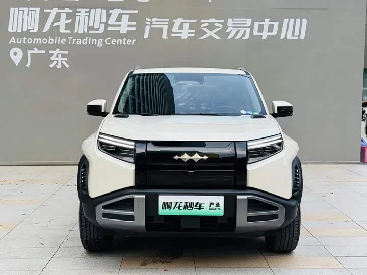 BYD Leopard Titanium 3