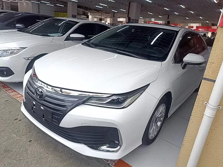 Toyota Asiatic lion
