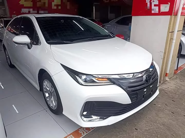 Toyota Asiatic lion