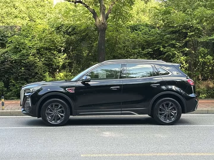 Hongqi HS5