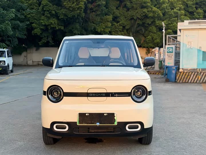 Geely panda