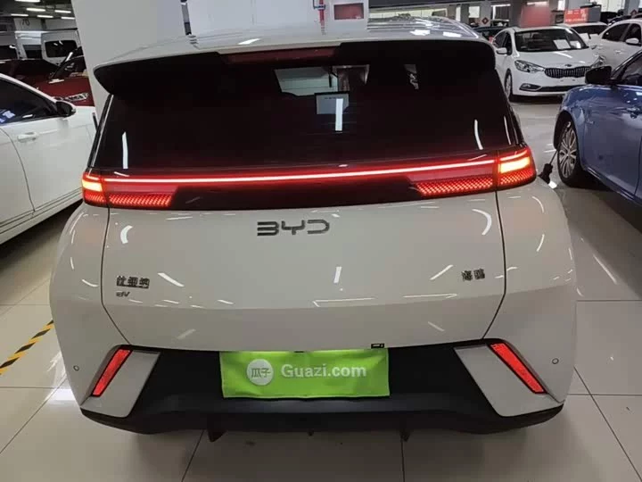 BYD seagull