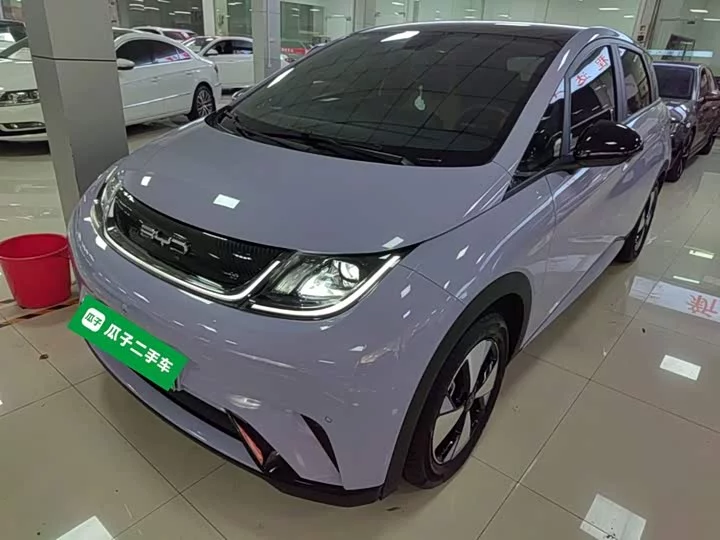 BYD dolphin
