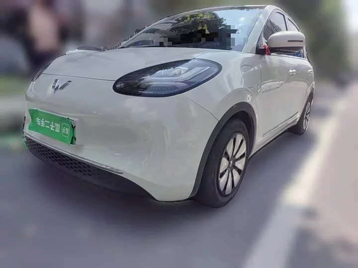 Wuling Bingo
