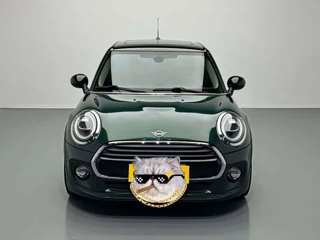 MINI 