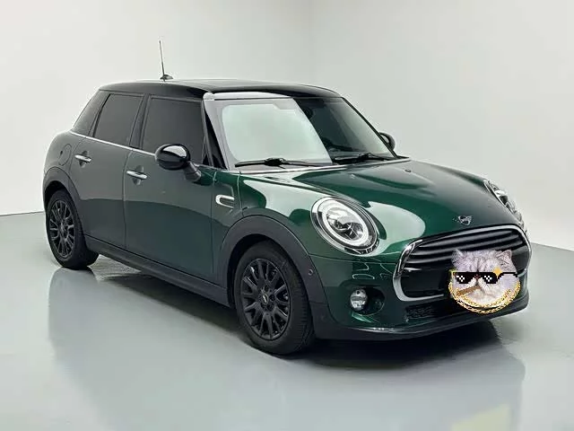 MINI 