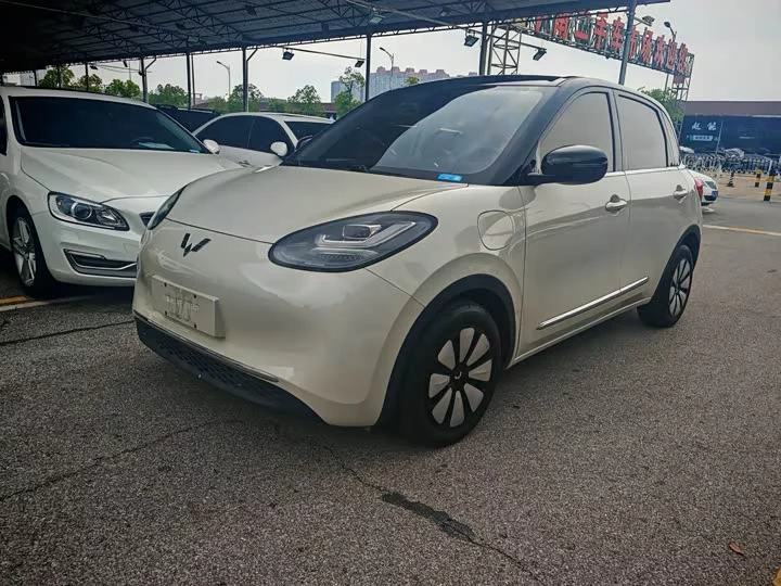Wuling Bingo