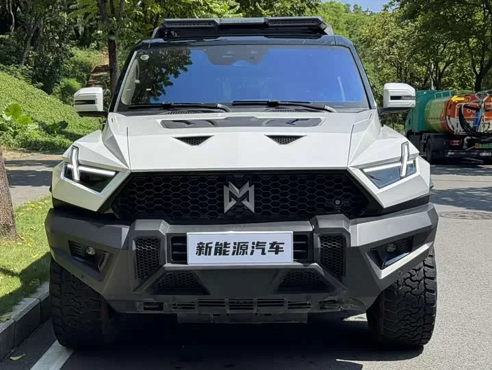 Mengshi 917