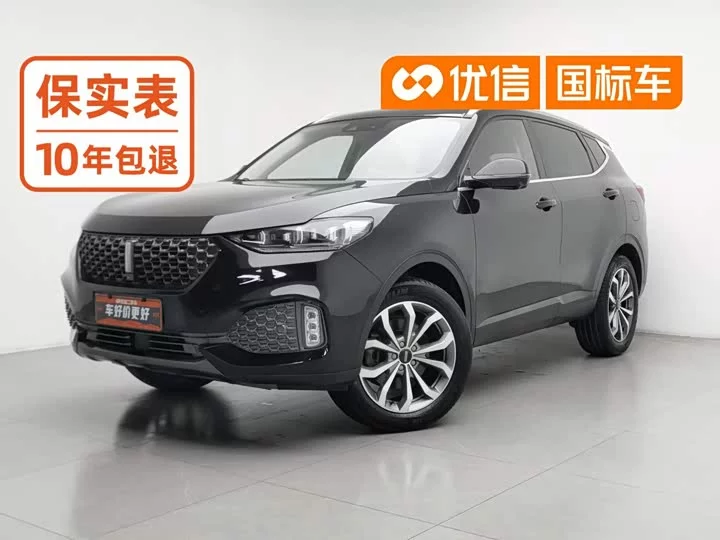 Wey VV6