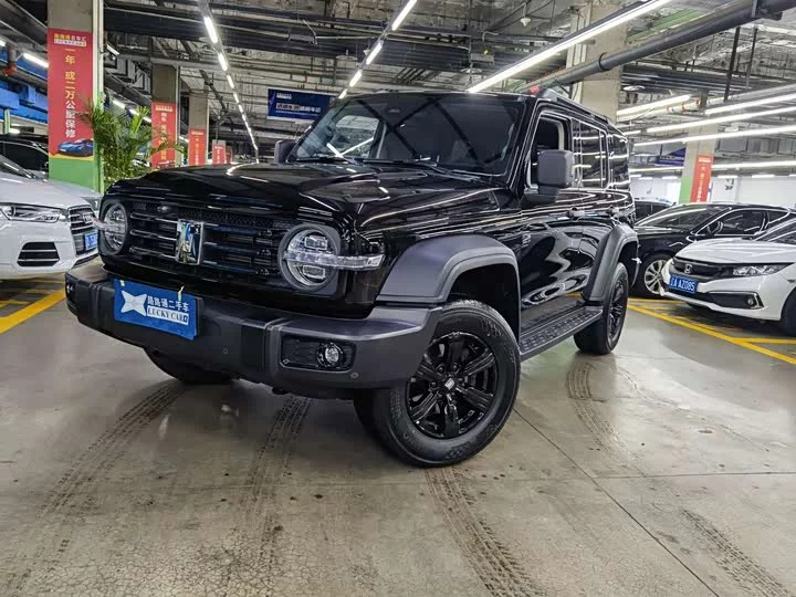 tank 300