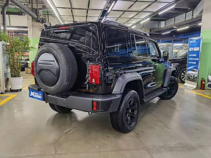 tank 300