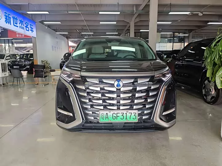 Denza D9